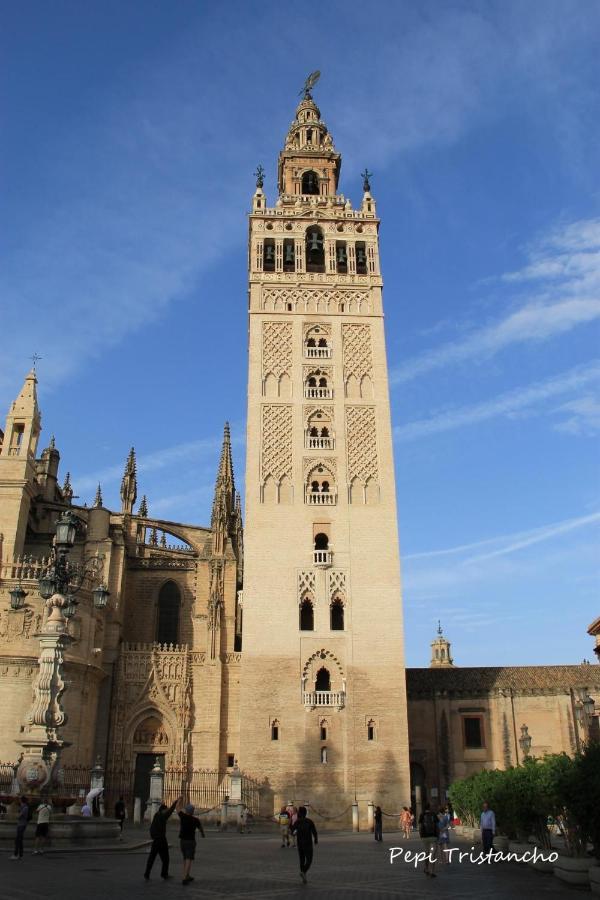 Suites Las Setas & Bicicletas Electricas Gratis Sevilla Exterior foto